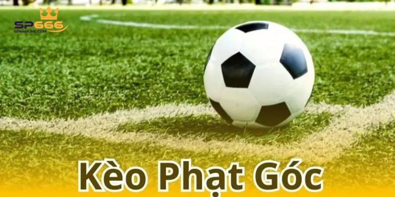 Các Loại Kèo Phạt Góc Phổ Biến Và 5 Kinh Nghiệm Đặt Cược 3 Kèo phạt góc chắn/lẽ hấp dẫn dành cho người mới chơi