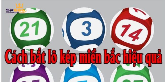 Lô Kép Miền Bắc