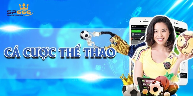6 sảnh cá cược thể thao hàng đầu
