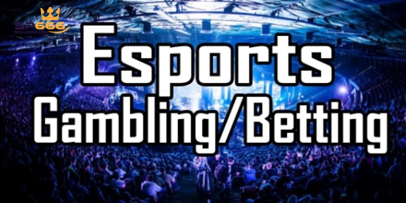 Cá cược Esport phù hợp với xu thế